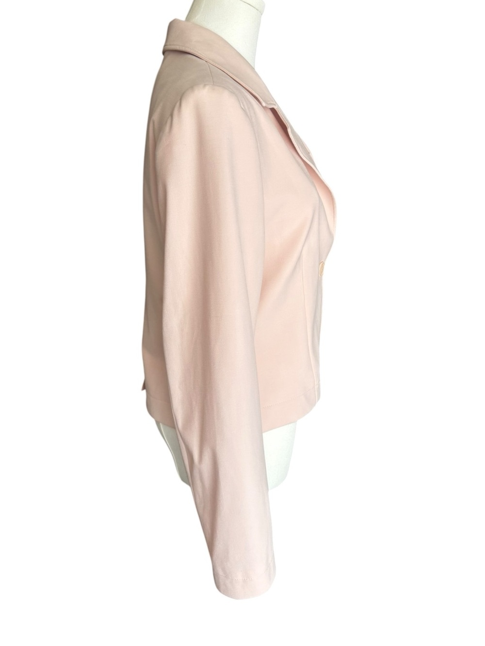 Djerf Avenue Day-to-day Blazer Blush Small - Picture 7 of 12